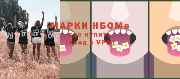 spice Богородицк