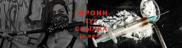 spice Богородицк