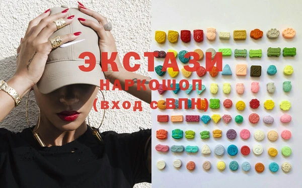 spice Богородицк