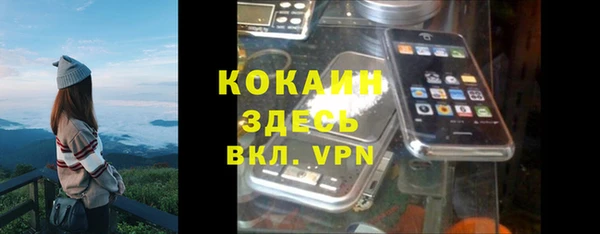 прущие грибы Туринск