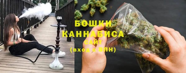 крисы Богородск