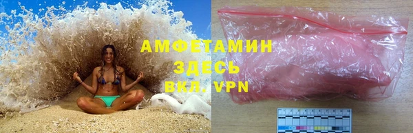 spice Богородицк