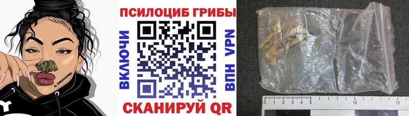 купить   Валуйки  Галлюциногенные грибы GOLDEN TEACHER 