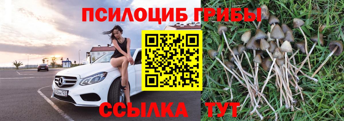 Псилоцибиновые грибы Magic Shrooms  Вход с VPN  Галлюциногенные грибы Psilocybine cubensis  Валуйки 